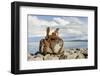 Keflavik on Reykjanes peninsula, monument with anchor in the harbor, Iceland-Martin Zwick-Framed Photographic Print