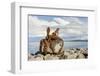 Keflavik on Reykjanes peninsula, monument with anchor in the harbor, Iceland-Martin Zwick-Framed Photographic Print