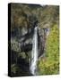 Kegon-No-Taki, Waterfall 97M High, Chuzenji, Nikko, Honshu, Japan-Tony Waltham-Stretched Canvas