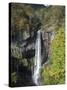 Kegon-No-Taki, Waterfall 97M High, Chuzenji, Nikko, Honshu, Japan-Tony Waltham-Stretched Canvas