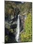 Kegon-No-Taki, Waterfall 97M High, Chuzenji, Nikko, Honshu, Japan-Tony Waltham-Mounted Photographic Print