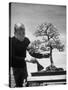 Keibun Tanaka Brushing Away Fallen Leaves of a Bonsai Maple Tree in Garden, Suburban Tokyo-Alfred Eisenstaedt-Stretched Canvas