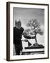 Keibun Tanaka Brushing Away Fallen Leaves of a Bonsai Maple Tree in Garden, Suburban Tokyo-Alfred Eisenstaedt-Framed Premium Photographic Print