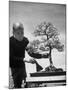 Keibun Tanaka Brushing Away Fallen Leaves of a Bonsai Maple Tree in Garden, Suburban Tokyo-Alfred Eisenstaedt-Mounted Premium Photographic Print