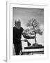 Keibun Tanaka Brushing Away Fallen Leaves of a Bonsai Maple Tree in Garden, Suburban Tokyo-Alfred Eisenstaedt-Framed Premium Photographic Print