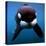 Keiko the Killer Whale-null-Stretched Canvas