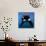Keiko the Killer Whale-null-Mounted Photographic Print displayed on a wall