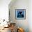 Keiko the Killer Whale-null-Framed Photographic Print displayed on a wall