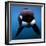 Keiko the Killer Whale-null-Framed Photographic Print