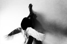 Broken Wing-Keisuke Ikeda @-Laminated Photographic Print