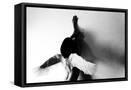 Framed Canvas