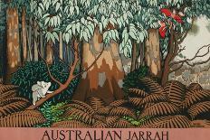 Australian Jarrah-Keith Henderson-Giclee Print