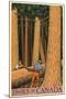 Wood Mount