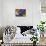 Keith Jarrett - Grand Piano Meditation-Marsha Hammel-Mounted Giclee Print displayed on a wall