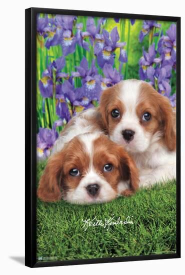 Keith Kimberlin - Cavalier King Charles Puppies-Trends International-Framed Poster