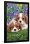 Keith Kimberlin - Cavalier King Charles Puppies-Trends International-Framed Poster