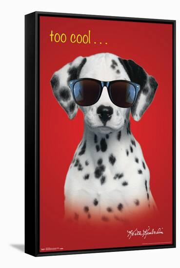 Keith Kimberlin - Dalmatian Puppy - Too Cool-Trends International-Framed Stretched Canvas