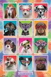 Keith Kimberlin- Puppies In Sunglasses-Keith Kimberlin-Framed Poster