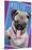 Keith Kimberlin - Kittens - Pug - Selfie-Trends International-Mounted Poster