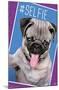 Keith Kimberlin - Kittens - Pug - Selfie-Trends International-Mounted Poster