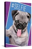 Keith Kimberlin - Kittens - Pug - Selfie-Trends International-Stretched Canvas