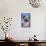 Keith Kimberlin - Kittens - Pug - Selfie-Trends International-Stretched Canvas displayed on a wall