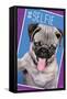 Keith Kimberlin - Kittens - Pug - Selfie-Trends International-Framed Stretched Canvas