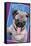 Keith Kimberlin - Kittens - Pug - Selfie-Trends International-Framed Stretched Canvas