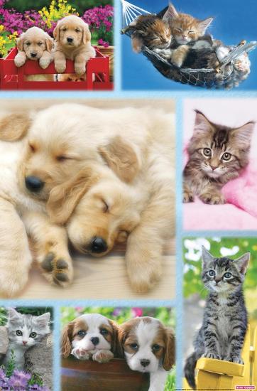Poster, , large