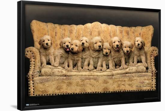 Keith Kimberlin - Puppies - Couch-Trends International-Framed Poster
