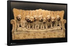 Keith Kimberlin - Puppies - Couch-Trends International-Framed Poster