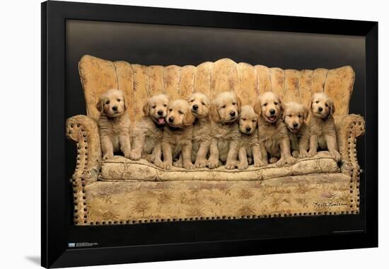 Keith Kimberlin - Puppies - Couch-Trends International-Framed Poster