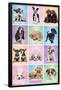 Keith Kimberlin - Puppies - Cuties Grid-Trends International-Framed Poster