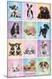 Keith Kimberlin - Puppies - Cuties Grid-Trends International-Mounted Poster