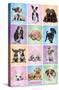 Keith Kimberlin - Puppies - Cuties Grid-Trends International-Stretched Canvas