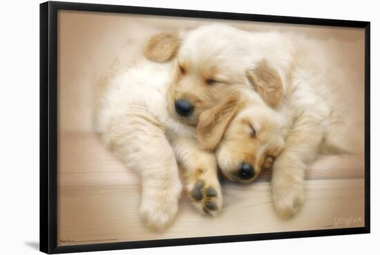 Keith Kimberlin - Puppies - Golden Retrievers Cuddling-Trends International-Framed Poster