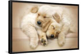 Keith Kimberlin - Puppies - Golden Retrievers Cuddling-Trends International-Framed Poster