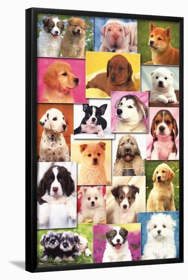 Keith Kimberlin - Puppies Grid-Trends International-Framed Poster