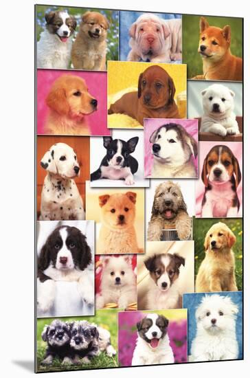 Keith Kimberlin - Puppies Grid-Trends International-Mounted Poster