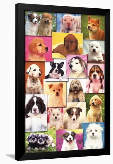 Keith Kimberlin - Puppies Grid-Trends International-Framed Poster