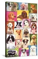 Keith Kimberlin - Puppies Grid-Trends International-Stretched Canvas