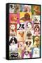 Keith Kimberlin - Puppies Grid-Trends International-Framed Stretched Canvas