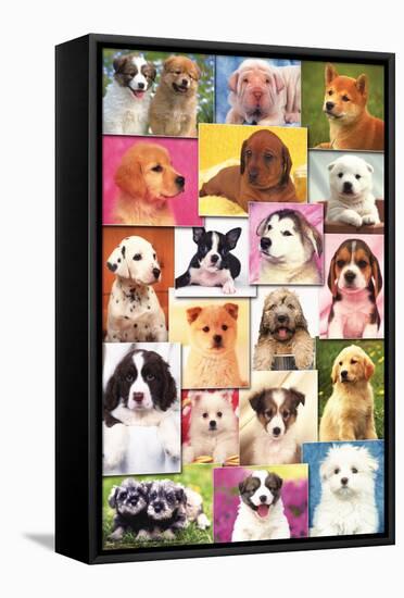 Keith Kimberlin - Puppies Grid-Trends International-Framed Stretched Canvas