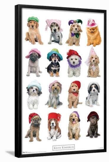 Keith Kimberlin - Puppies With Hats-Trends International-Framed Poster