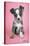 Keith Kimberlin - Puppy on Pink Background-Trends International-Stretched Canvas