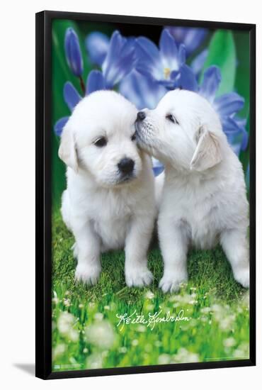 Keith Kimberlin - White Golden Retriever Puppies-Trends International-Framed Poster