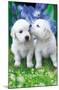 Keith Kimberlin - White Golden Retriever Puppies-Trends International-Mounted Poster