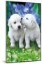 Keith Kimberlin - White Golden Retriever Puppies-Trends International-Mounted Poster