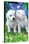 Keith Kimberlin - White Golden Retriever Puppies-Trends International-Stretched Canvas