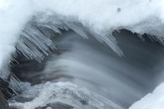 Snowy Sentinels II-Keith Morgan-Photographic Print